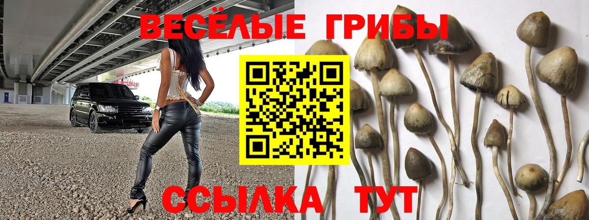 Галлюциногенные грибы Psilocybine cubensis  Вход с VPN  Нефтеюганск  Галлюциногенные грибы Psilocybine cubensis 