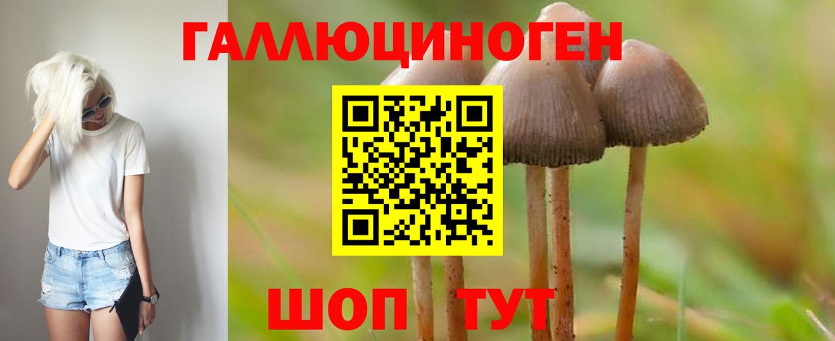 Псилоцибиновые грибы Psilocybine cubensis Нефтеюганск